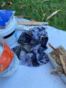 Mess all over the front yard including an old pair of boxer shorts